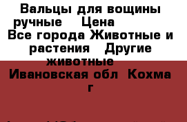 Вальцы для вощины ручные  › Цена ­ 10 000 - Все города Животные и растения » Другие животные   . Ивановская обл.,Кохма г.